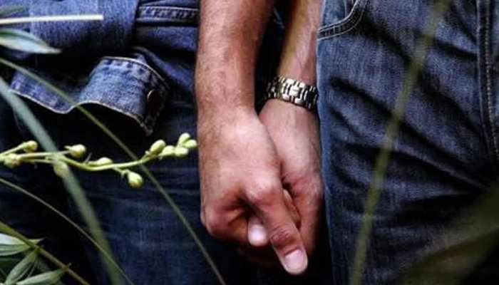 समलैंगिकता पर भारत के फैसले को लेकर सिंगापुर में छिड़ी बहस, जानिए क्या है वजह समलैंगिकता पर भारत के फैसले को लेकर सिंगापुर में छिड़ी बहस, जानिए क्या है वजह