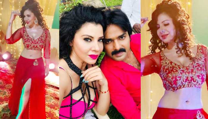 PHOTOS: छा गया इस भोजपुरी एक्ट्रेस का नया लुक, पवन सिंह के साथ आने वाली हैं नजर PHOTOS: छा गया इस भोजपुरी एक्ट्रेस का नया लुक, पवन सिंह के साथ आने वाली हैं नजर