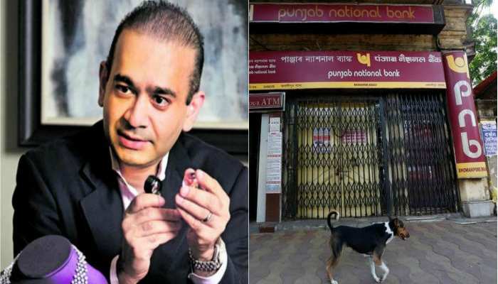 PNB घोटाला : नीरव मोदी की बहन के खिलाफ रेड कॉर्नर नोटिस जारी, 25 सितंबर को है कोर्ट में पेशी PNB घोटाला : नीरव मोदी की बहन के खिलाफ रेड कॉर्नर नोटिस जारी, 25 सितंबर को है कोर्ट में पेशी