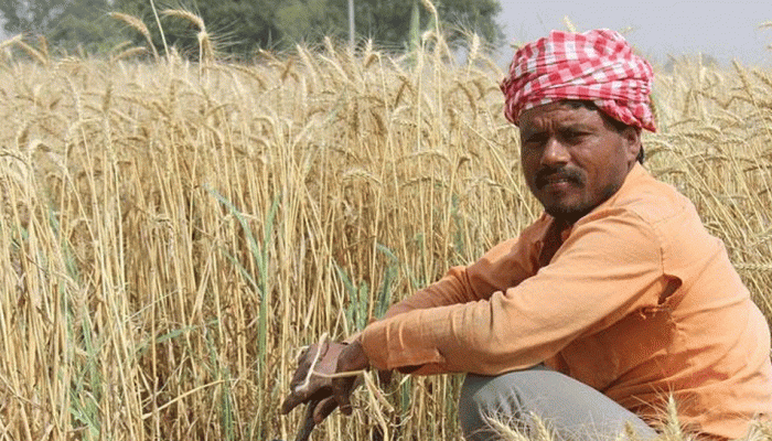किसानों से 'धोखा' नहीं कर पाएंगी बीमा कंपनियां, मोदी सरकार ने लिया ये बड़ा फैसला किसानों से 'धोखा' नहीं कर पाएंगी बीमा कंपनियां, मोदी सरकार ने लिया ये बड़ा फैसला