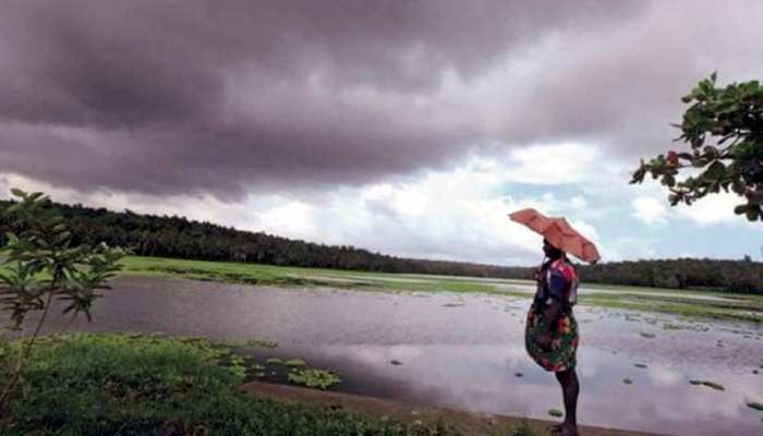 मानसून की बारिश अबतक सामान्य से 10 प्रतिशत कम, जानें कृषि उत्पादन को लेकर क्या कहते हैं जानकार मानसून की बारिश अबतक सामान्य से 10 प्रतिशत कम, जानें कृषि उत्पादन को लेकर क्या कहते हैं जानकार