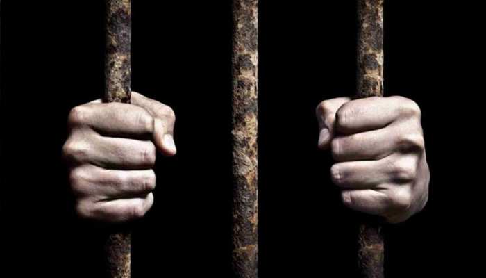 अमेरिका में पकड़ा गया 'इमरान खान', अदालत ने सुना दी तीन साल की सजा अमेरिका में पकड़ा गया 'इमरान खान', अदालत ने सुना दी तीन साल की सजा