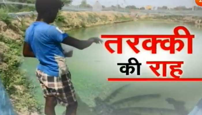 झारखंड : किसानों की आय डबल करने के इरादे से काम कर रही है रघुवर सरकार झारखंड : किसानों की आय डबल करने के इरादे से काम कर रही है रघुवर सरकार