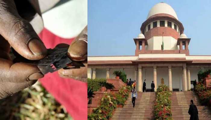 दाऊदी बोहरा मुस्लिम लड़कियों के साथ खतना सही या गलत, अब संविधान पीठ करेगी फैसला दाऊदी बोहरा मुस्लिम लड़कियों के साथ खतना सही या गलत, अब संविधान पीठ करेगी फैसला