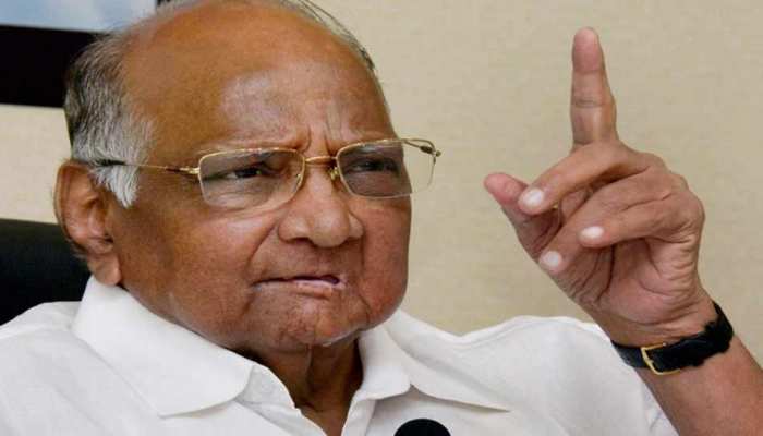 राफेल विवाद शरद पवार बोले, 'कीमत बताने में नहीं है कोई नुकसान' राफेल विवाद शरद पवार बोले, 'कीमत बताने में नहीं है कोई नुकसान'
