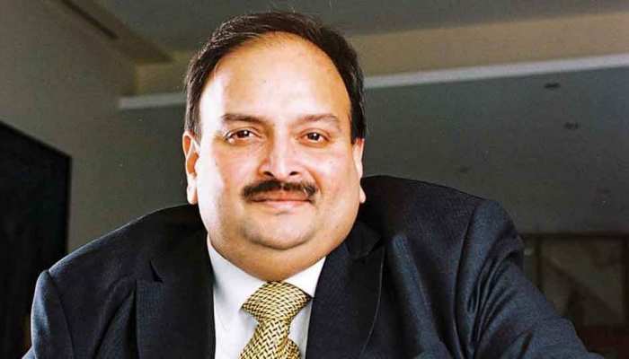 PNB घोटाले में सरकार को बड़ी कामयाबी, जल्द पकड़ में आएगा मेहुल चोकसी PNB घोटाले में सरकार को बड़ी कामयाबी, जल्द पकड़ में आएगा मेहुल चोकसी