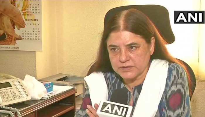 सबरीमाला : 'मंदिर है कोई जिम खाना, क्लब तो है नहीं की साड़ी पहनकर नहीं आ सकते'- मेनका गांधी सबरीमाला : 'मंदिर है कोई जिम खाना, क्लब तो है नहीं की साड़ी पहनकर नहीं आ सकते'- मेनका गांधी