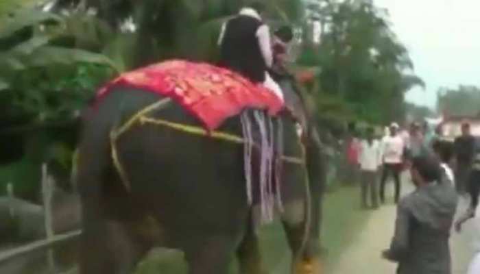 VIDEO : असम विधानसभा के डिप्टी स्पीकर की रैली में नाराज हुआ हाथी, नेताजी को जमीन पर पटका VIDEO : असम विधानसभा के डिप्टी स्पीकर की रैली में नाराज हुआ हाथी, नेताजी को जमीन पर पटका