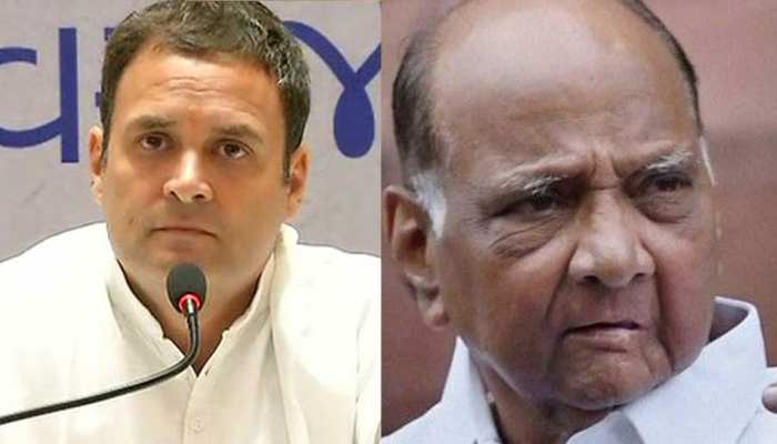 लोकसभा चुनाव: राहुल-पवार ने सीटों के बंटवारे पर की चर्चा लेकिन MP में एकदूसरे के खिलाफ लड़ेंगे लोकसभा चुनाव: राहुल-पवार ने सीटों के बंटवारे पर की चर्चा लेकिन MP में एकदूसरे के खिलाफ लड़ेंगे