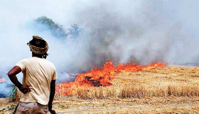 Farmers burn stubble curse into prosperity, generating electricity