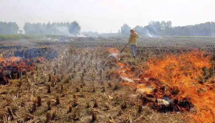 पंजाब और हरियाणा में धड़ल्ले से जलाई जा रही है पराली, दिल्ली में बढ़ रहा प्रदूषण पंजाब और हरियाणा में धड़ल्ले से जलाई जा रही है पराली, दिल्ली में बढ़ रहा प्रदूषण