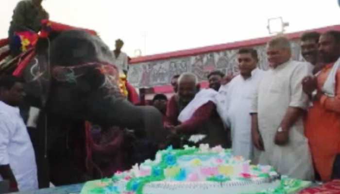 बिहार : पशु प्रेमी ने धूमधाम से मनाया हाथी का जन्मदिन, विधानसभा अध्यक्ष भी हुए शामिल बिहार : पशु प्रेमी ने धूमधाम से मनाया हाथी का जन्मदिन, विधानसभा अध्यक्ष भी हुए शामिल