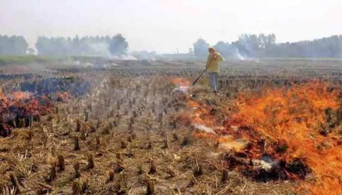 तो इस बार भी जलेगी पराली, प्रदूषण रोकने में नाकाम होगी सरकार! तो इस बार भी जलेगी पराली, प्रदूषण रोकने में नाकाम होगी सरकार!