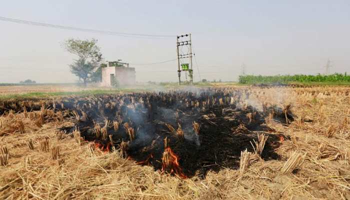 NGT ने राज्यों से कहा,'किसानों को पराली जलाने से रोकने को तत्काल कदम उठाने की जरूरत' NGT ने राज्यों से कहा,'किसानों को पराली जलाने से रोकने को तत्काल कदम उठाने की जरूरत'