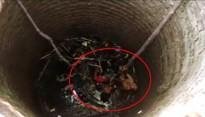 झारखंड : खेलते-खेलते कुएं में गिरा बच्चा, बेटे को बचाने के लिए मां ने भी लगा दी छलांग झारखंड : खेलते-खेलते कुएं में गिरा बच्चा, बेटे को बचाने के लिए मां ने भी लगा दी छलांग