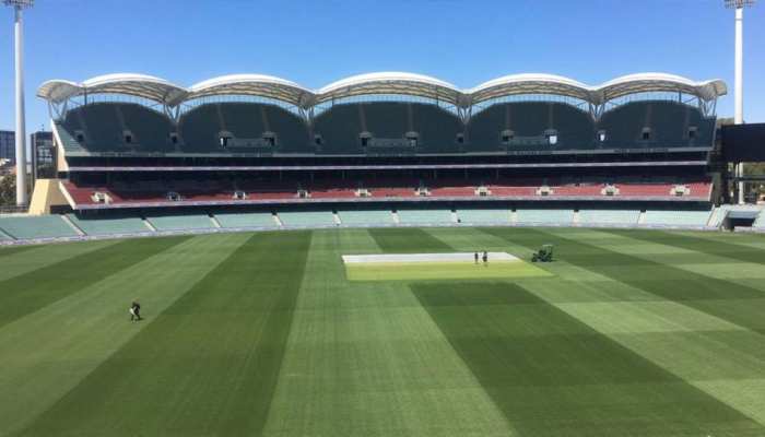 INDvsAUS: एडिलेड के क्यूरेटर ने बताया, कैसी होगी पहले टेस्ट मैच के लिए पिच INDvsAUS: एडिलेड के क्यूरेटर ने बताया, कैसी होगी पहले टेस्ट मैच के लिए पिच