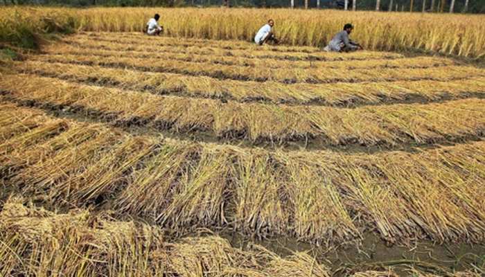 अच्छी खबरः क्रय केंद्र पर किसान जितना धान लाएंगे, सब खरीदेगी बिहार सरकार अच्छी खबरः क्रय केंद्र पर किसान जितना धान लाएंगे, सब खरीदेगी बिहार सरकार